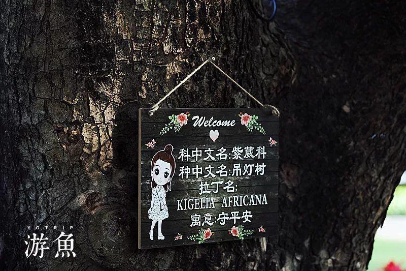 为何我玩的铠，感觉没有伤害的呢？出装和铭文都没有错，怎么回事？